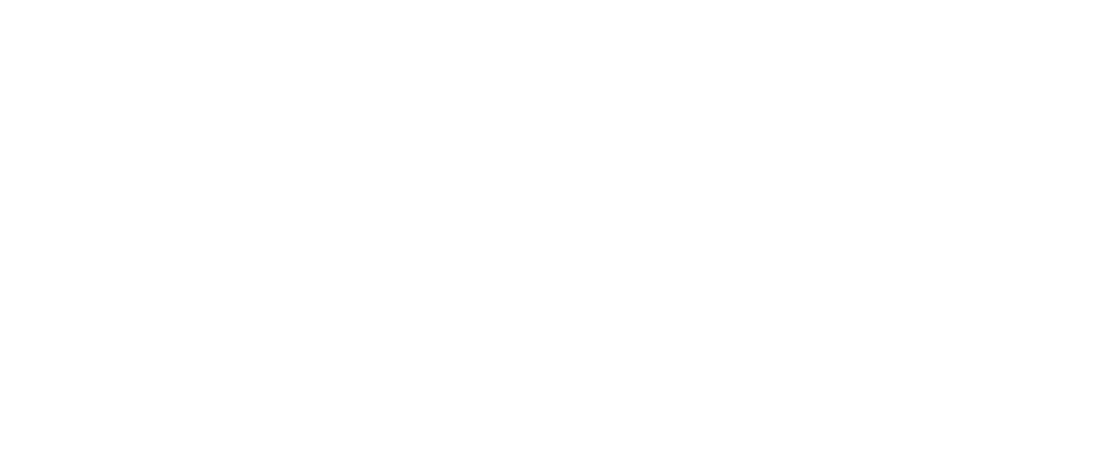 Willy Store